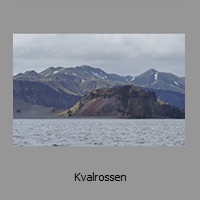  Kvalrossen